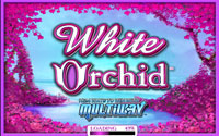 White Orchird Slot Machine
