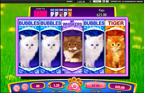 OMG Kittens Slot Machine