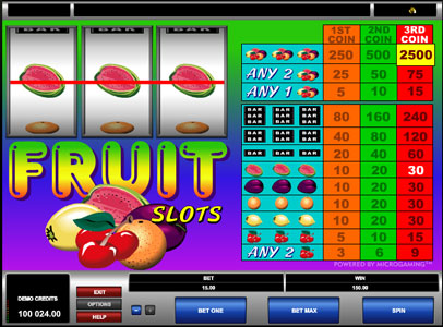 Fruit Slots Slots