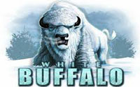 White Buffalo