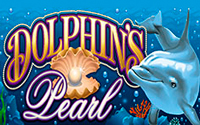 Dolphins Pearl