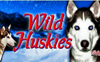 Wild Huskies Slots